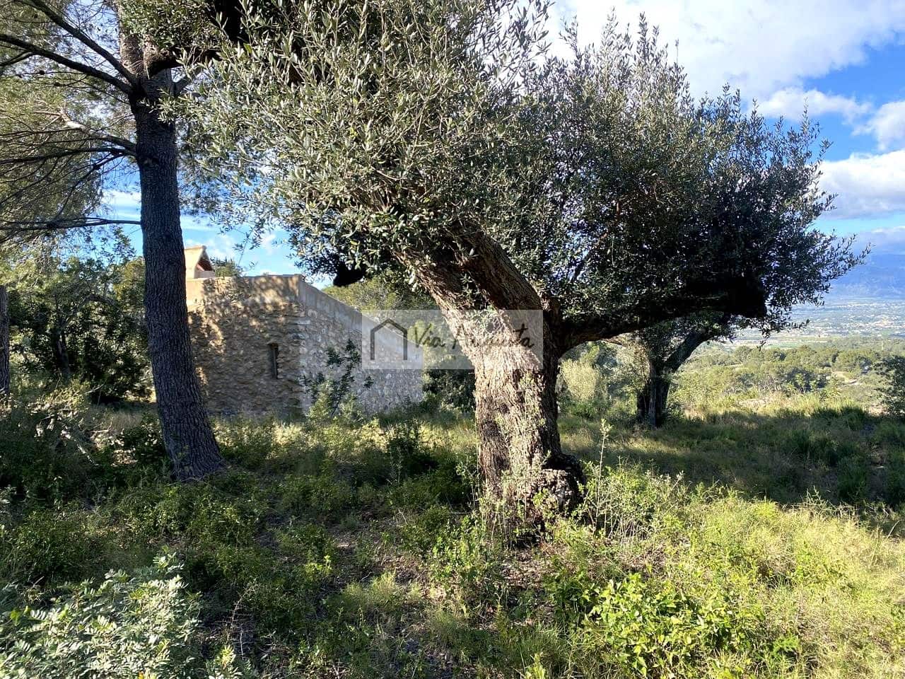 Grunde uden byggetilladelser til salg i Bitem - € 56.000 (Ref: 8868517)