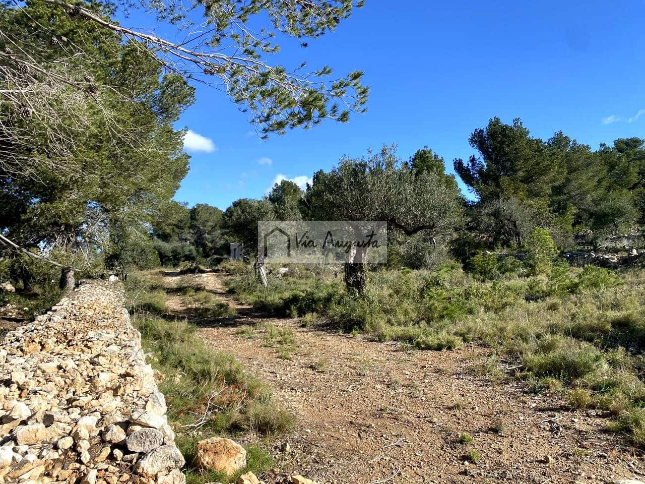 Grunde uden byggetilladelser til salg i Bitem - € 56.000 (Ref: 8868517)