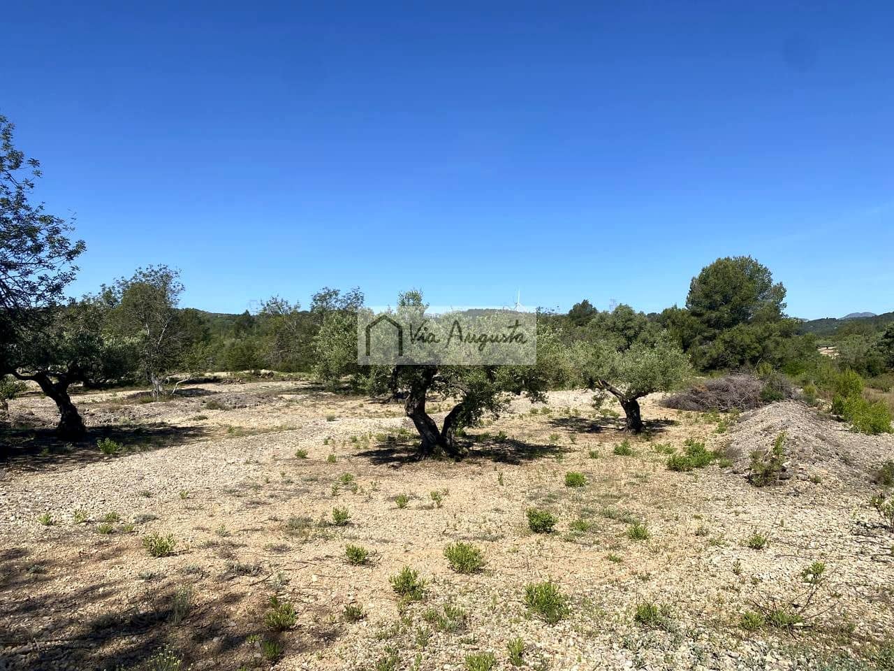 Terre non Aménagée à vendre à El Perello - 21 000 € (Ref: 9047097)