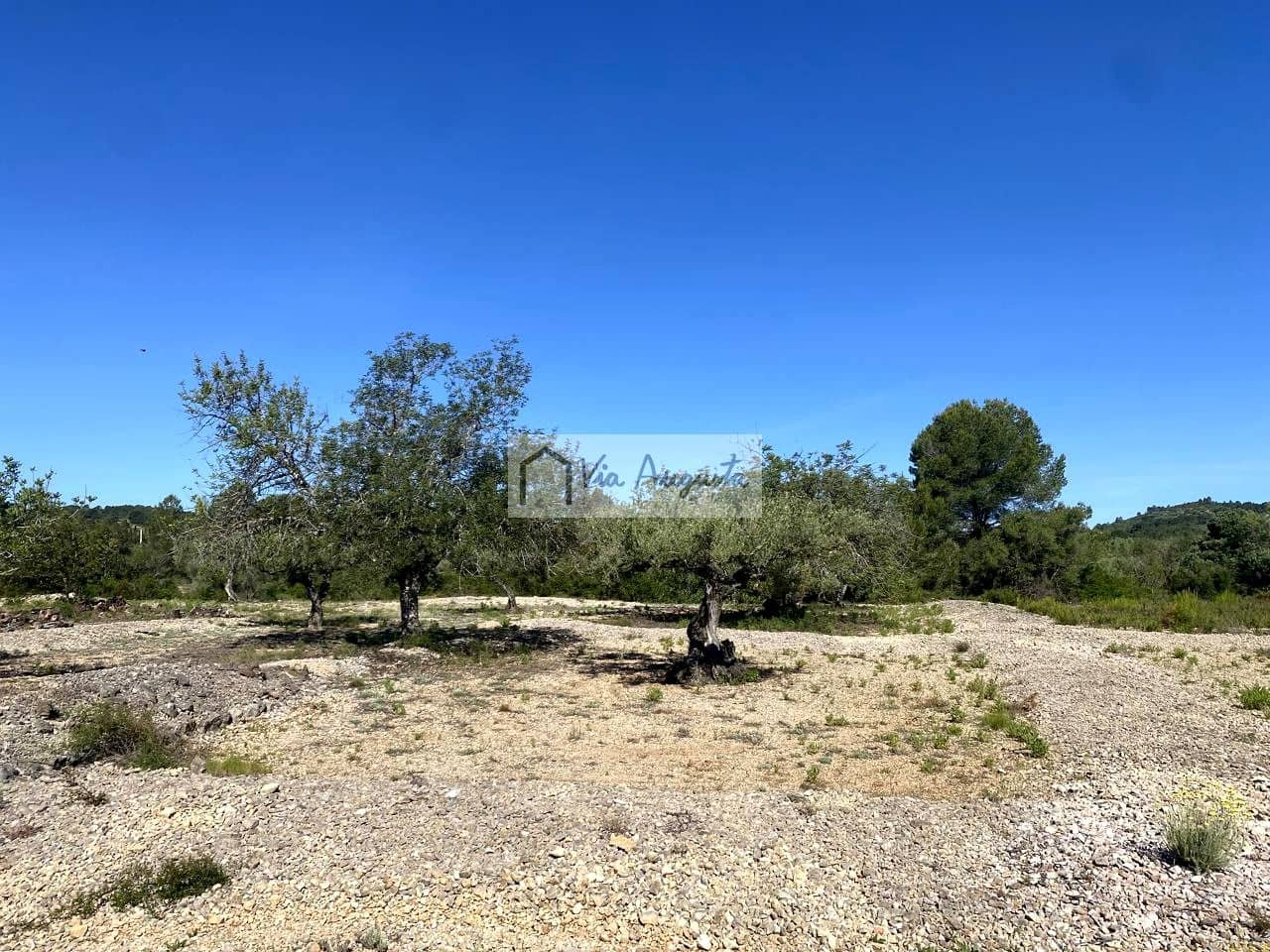 Terre non Aménagée à vendre à El Perello - 21 000 € (Ref: 9047097)