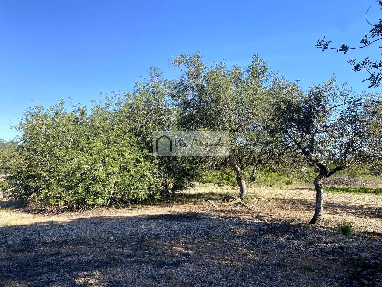 Terre non Aménagée à vendre à El Perello - 21 000 € (Ref: 9047097)