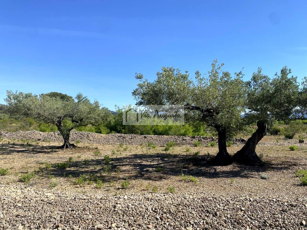 Terre non Aménagée à vendre à El Perello - 21 000 € (Ref: 9047097)