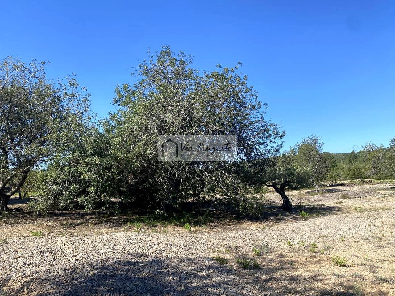 Terre non Aménagée à vendre à El Perello - 21 000 € (Ref: 9047097)