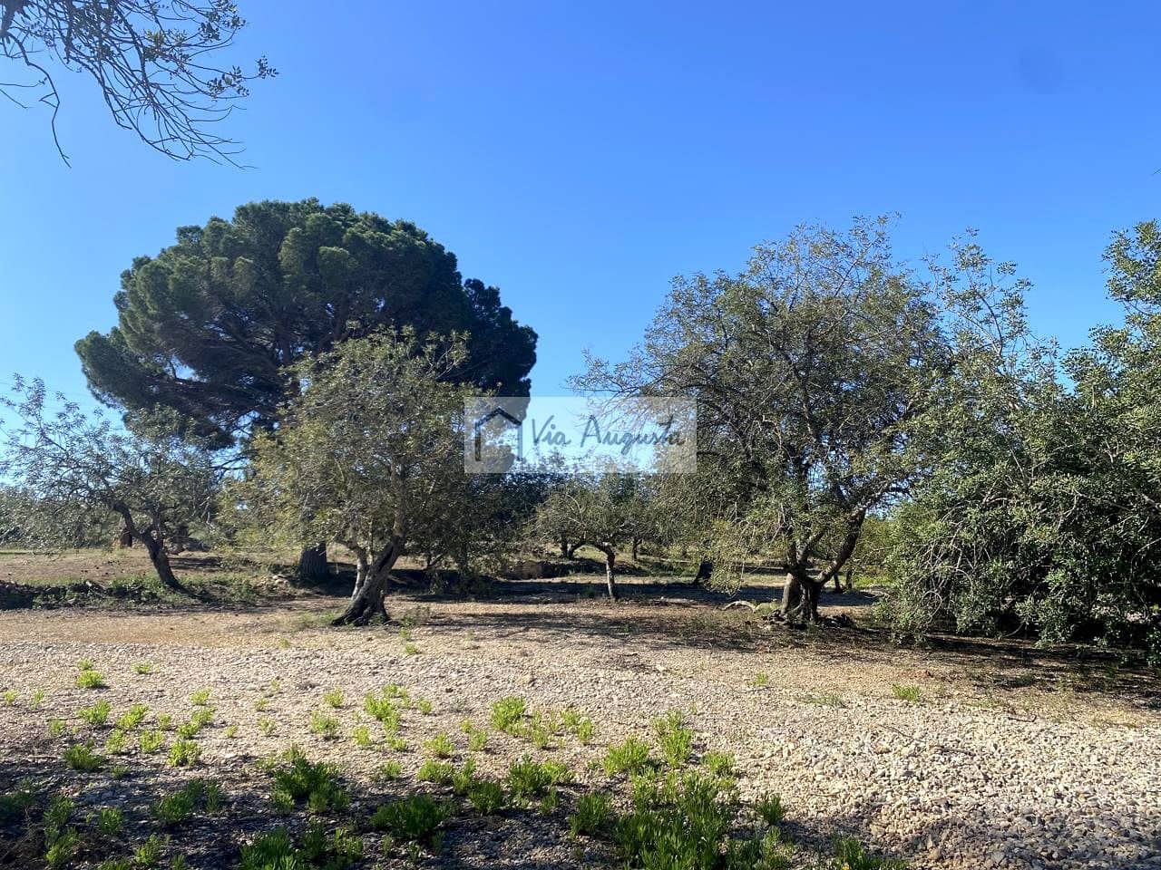 Terre non Aménagée à vendre à El Perello - 21 000 € (Ref: 9047097)