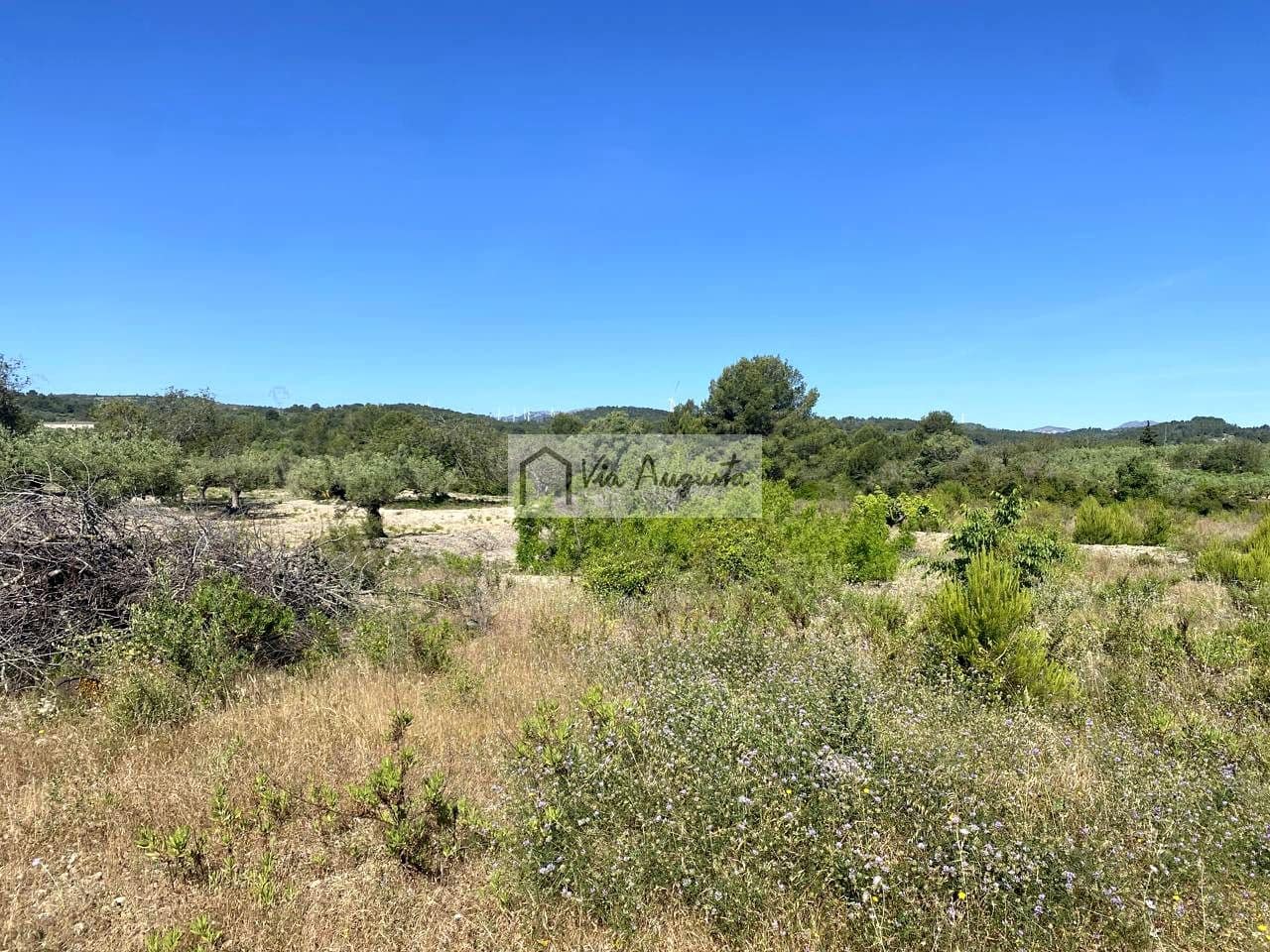 Terre non Aménagée à vendre à El Perello - 21 000 € (Ref: 9047097)