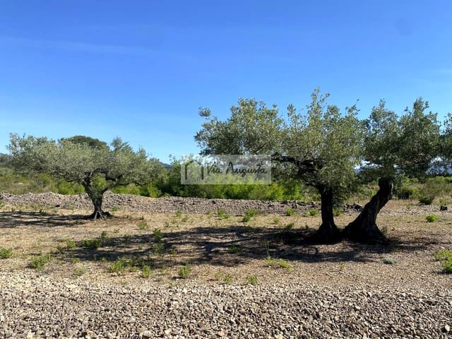 Teren niezagospodarowany na sprzedaż w El Perelló - 21 000 € (Ref: 9047097)