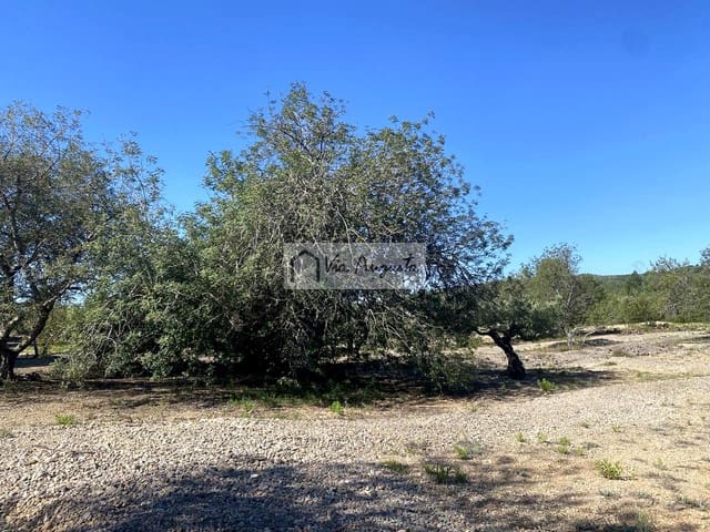 Teren niezagospodarowany na sprzedaż w El Perelló - 21 000 € (Ref: 9047097)