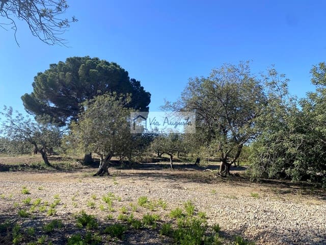 Teren niezagospodarowany na sprzedaż w El Perelló - 21 000 € (Ref: 9047097)