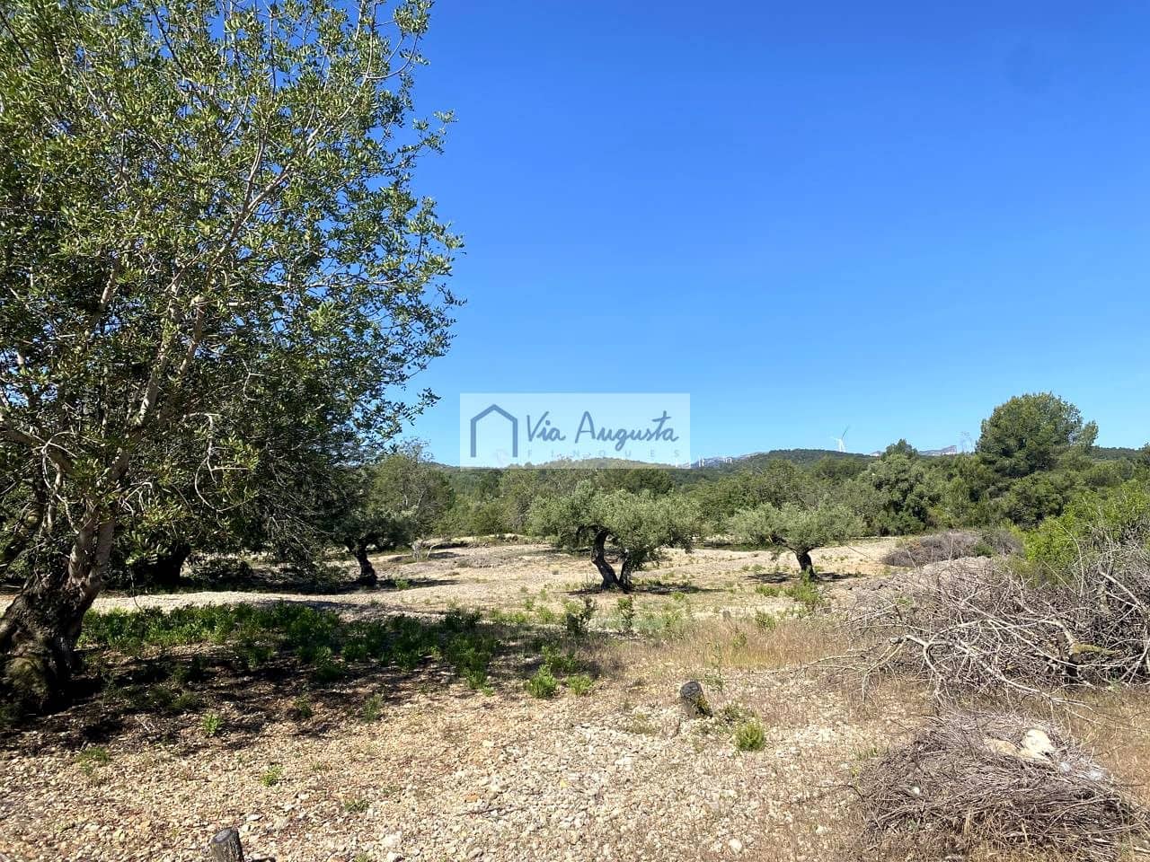 Terre non Aménagée à vendre à El Perello - 21 000 € (Ref: 9047097)