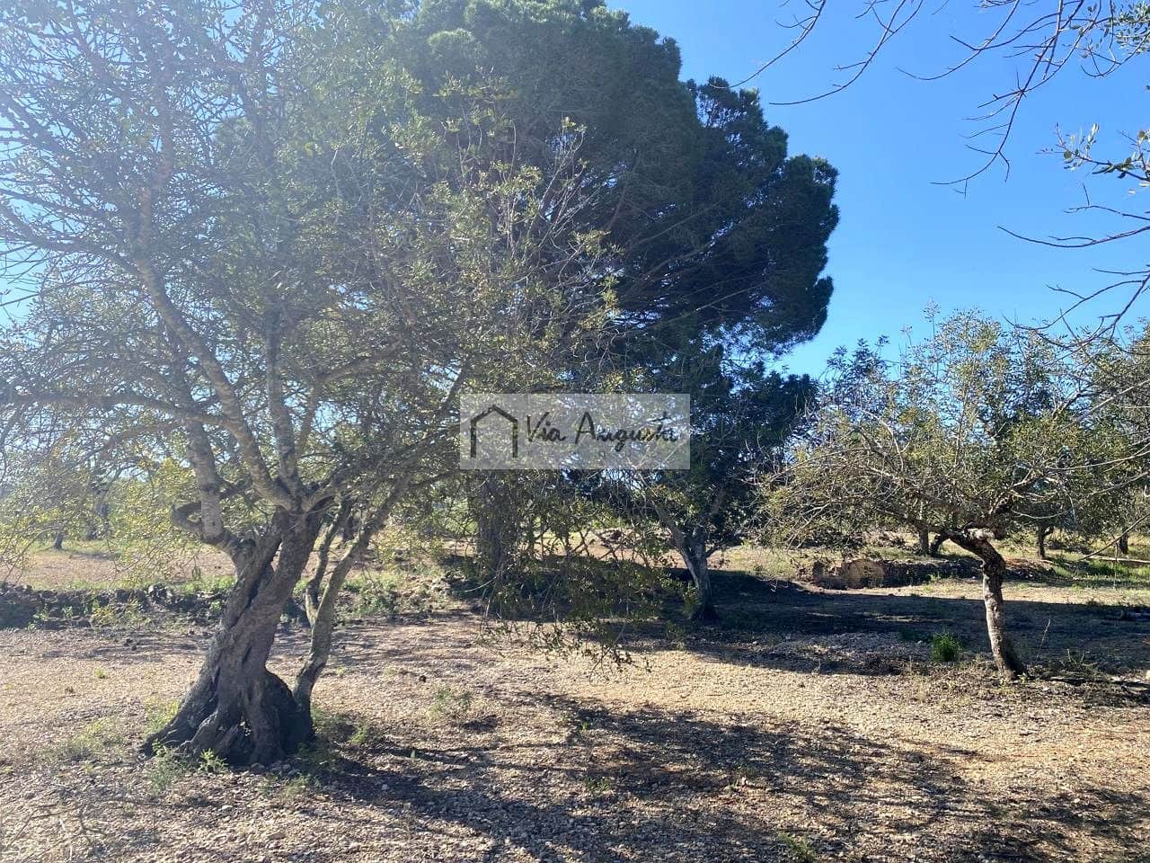 Terre non Aménagée à vendre à El Perello - 21 000 € (Ref: 9047097)