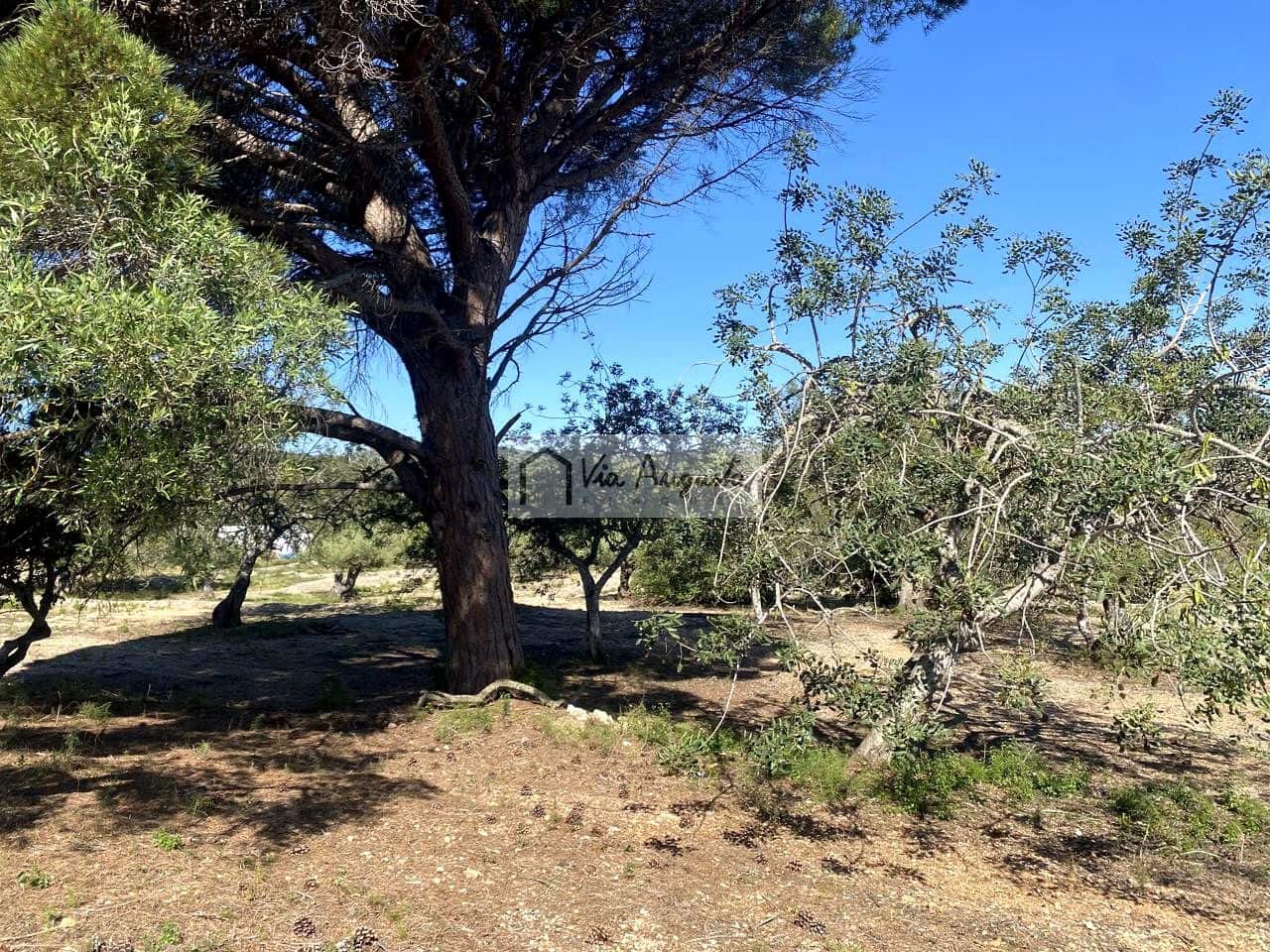 Terre non Aménagée à vendre à El Perello - 21 000 € (Ref: 9047097)