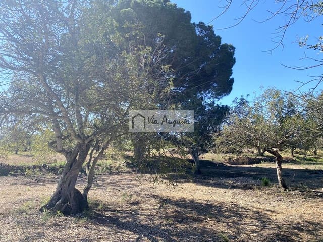 Teren niezagospodarowany na sprzedaż w El Perelló - 21 000 € (Ref: 9047097)