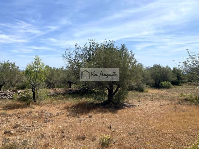 Terre non Aménagée à vendre à El Perelló - 35 000 € (Ref: 9076816)