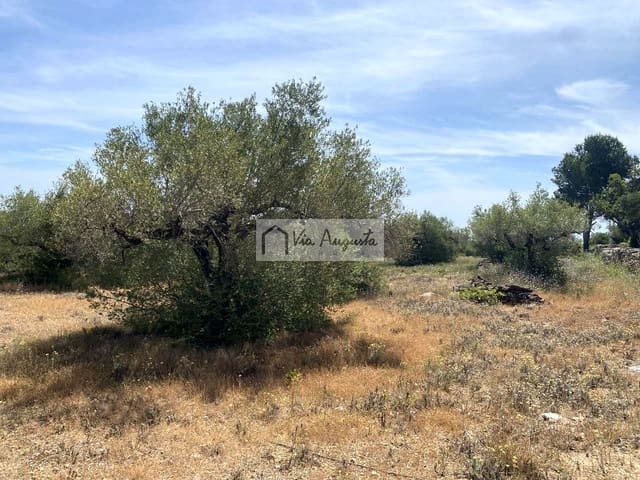 Terre non Aménagée à vendre à El Perelló - 35 000 € (Ref: 9076816)