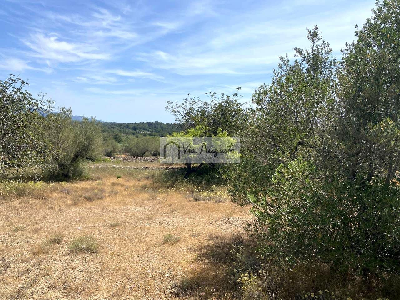 Teren niezagospodarowany na sprzedaż w El Perello - 35 000 € (Ref: 9076816)