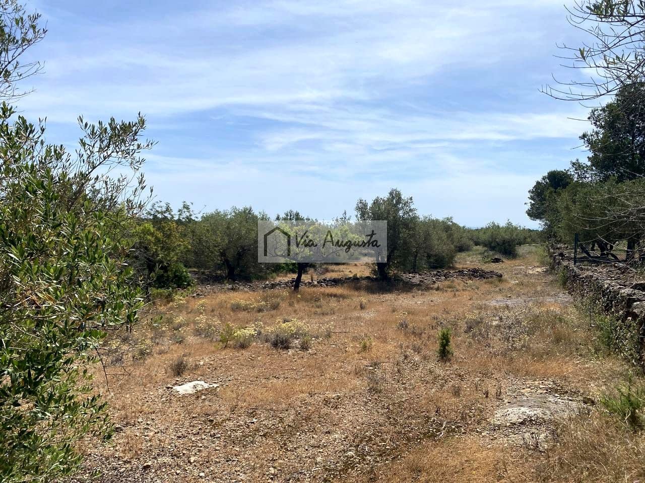 Teren niezagospodarowany na sprzedaż w El Perello - 35 000 € (Ref: 9076816)