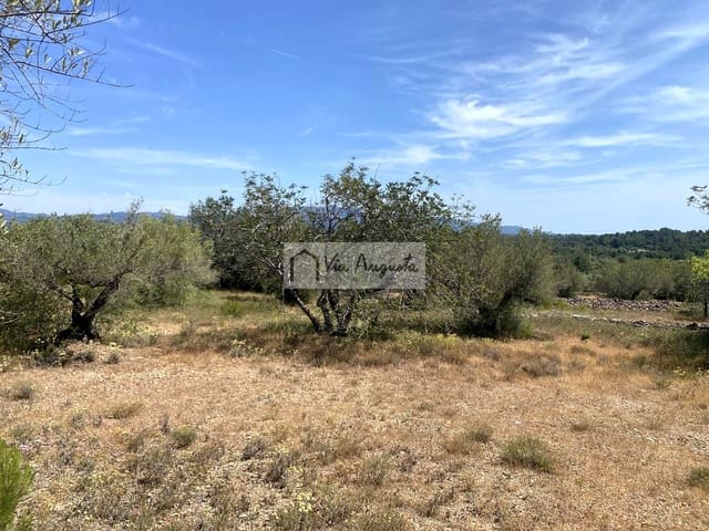 Terre non Aménagée à vendre à El Perelló - 35 000 € (Ref: 9076816)