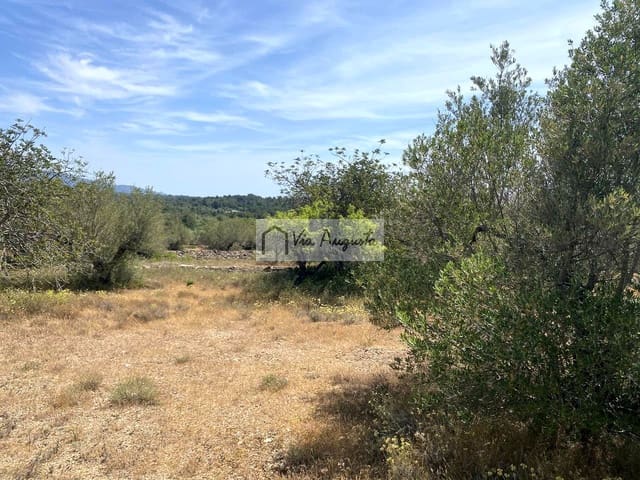 Terre non Aménagée à vendre à El Perelló - 35 000 € (Ref: 9076816)