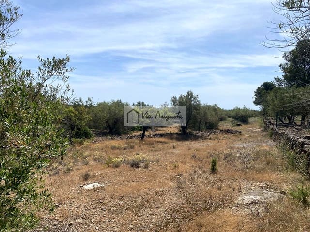 Terre non Aménagée à vendre à El Perelló - 35 000 € (Ref: 9076816)