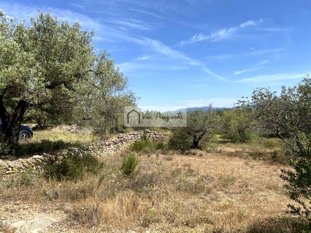 Terre non Aménagée à vendre à El Perelló - 35 000 € (Ref: 9076816)