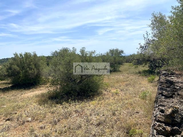 Terre non Aménagée à vendre à El Perelló - 35 000 € (Ref: 9076816)
