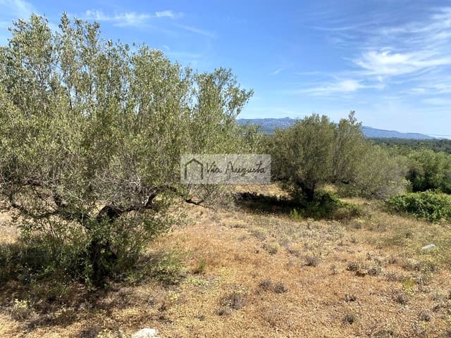 Terre non Aménagée à vendre à El Perelló - 35 000 € (Ref: 9076816)