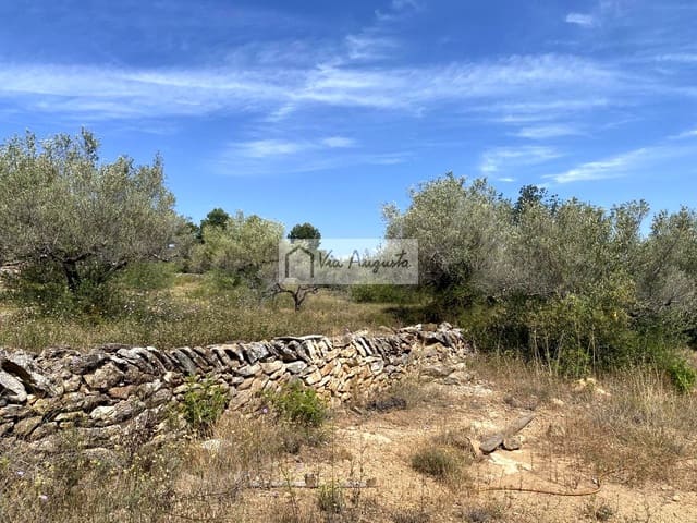 Terre non Aménagée à vendre à El Perelló - 35 000 € (Ref: 9076816)