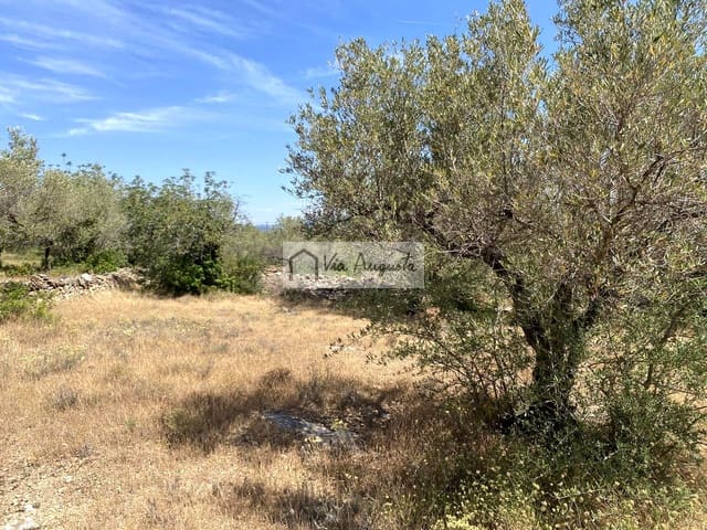 Terre non Aménagée à vendre à El Perelló - 35 000 € (Ref: 9076816)