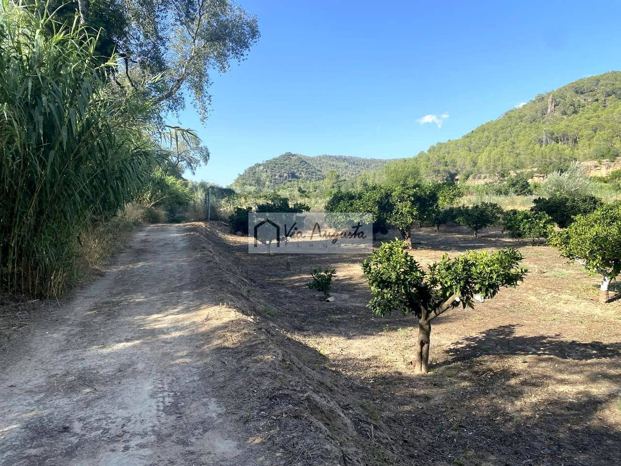 Grunde uden byggetilladelser til salg i Miravet - € 56.000 (Ref: 9136433)