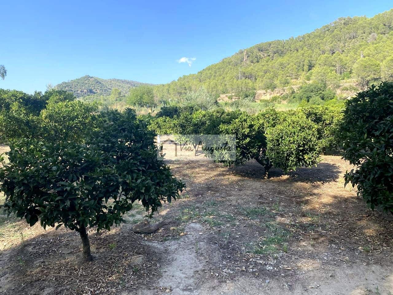 Grunde uden byggetilladelser til salg i Miravet - € 56.000 (Ref: 9136433)