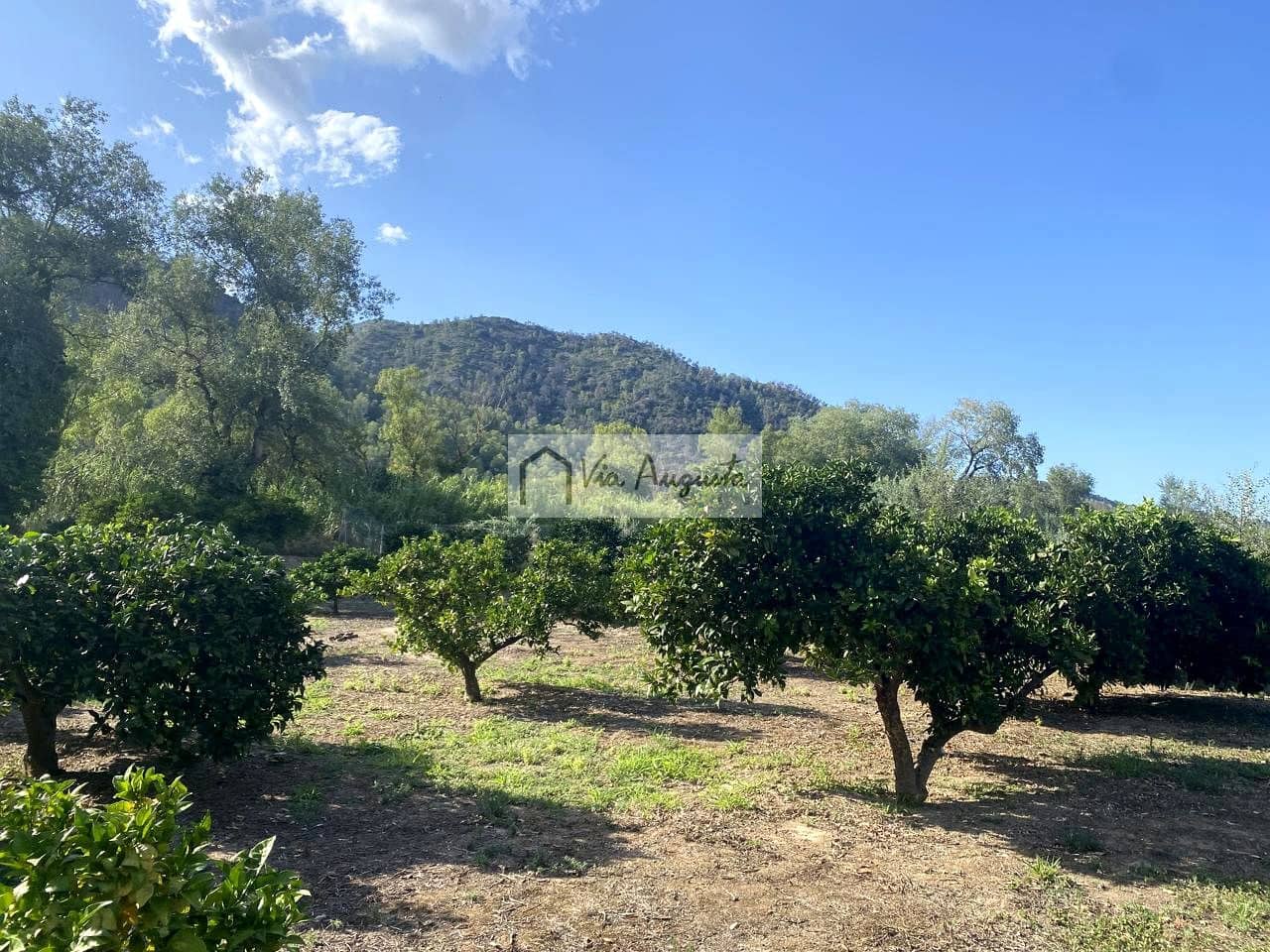 Grunde uden byggetilladelser til salg i Miravet - € 56.000 (Ref: 9136433)