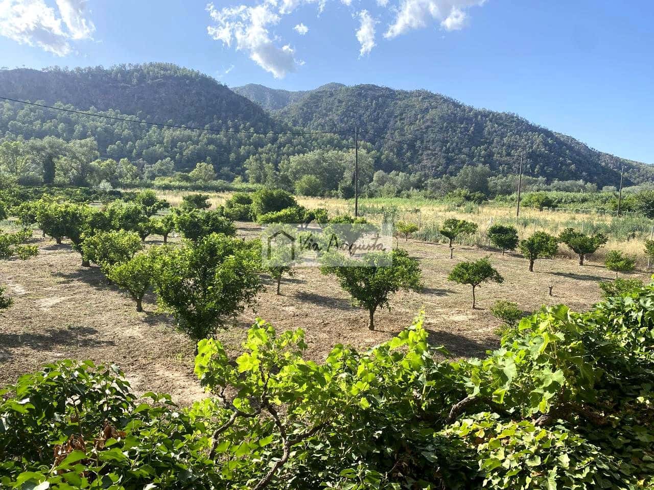 Grunde uden byggetilladelser til salg i Miravet - € 56.000 (Ref: 9136433)