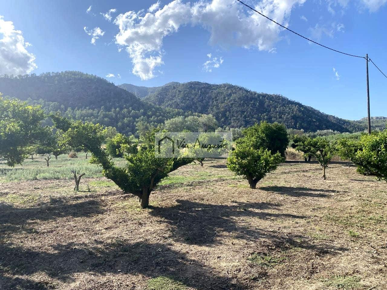 Grunde uden byggetilladelser til salg i Miravet - € 56.000 (Ref: 9136433)