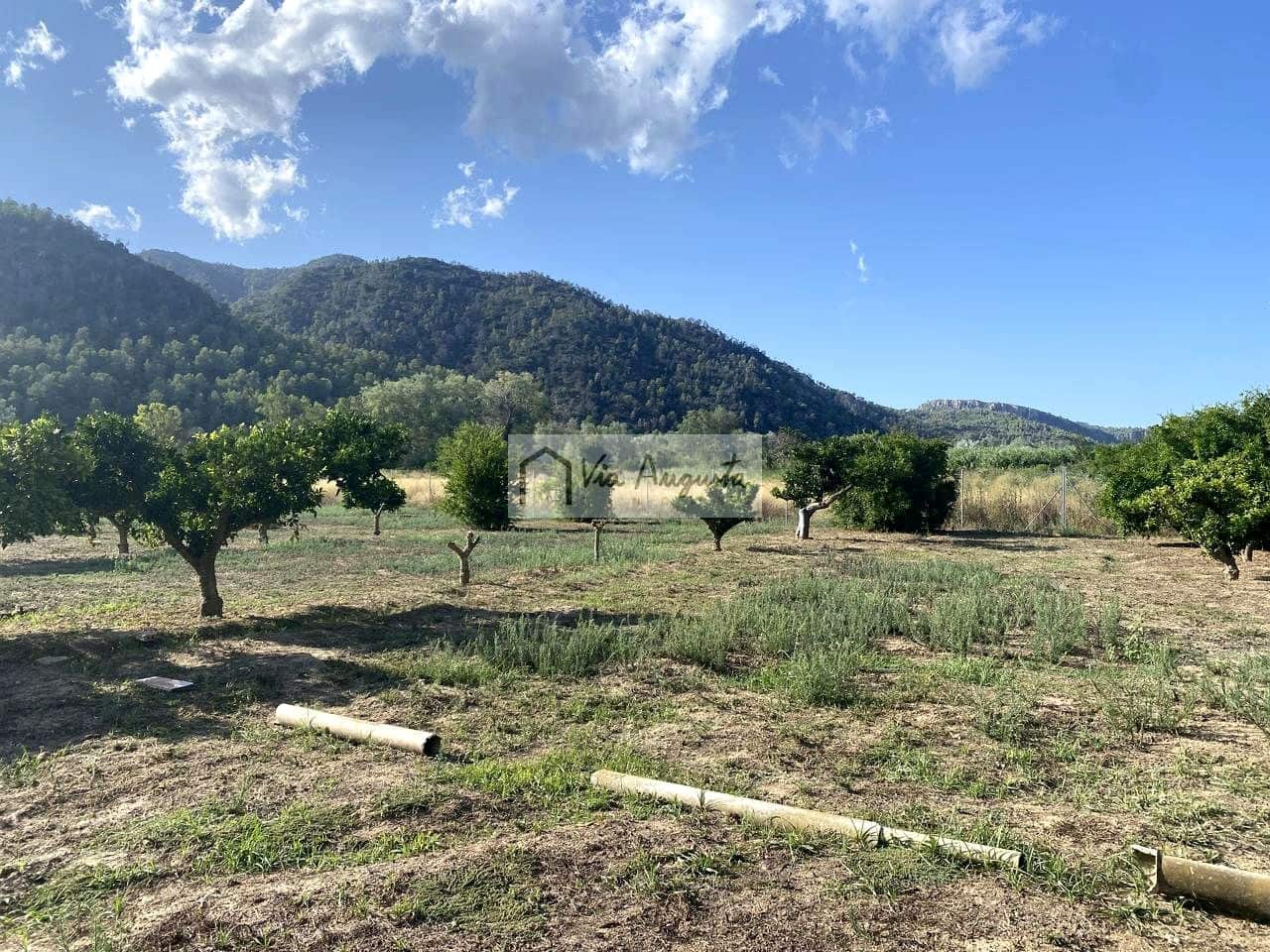 Grunde uden byggetilladelser til salg i Miravet - € 56.000 (Ref: 9136433)