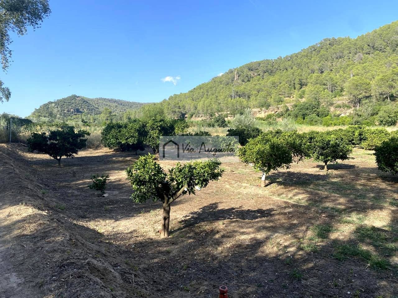 Grunde uden byggetilladelser til salg i Miravet - € 56.000 (Ref: 9136433)