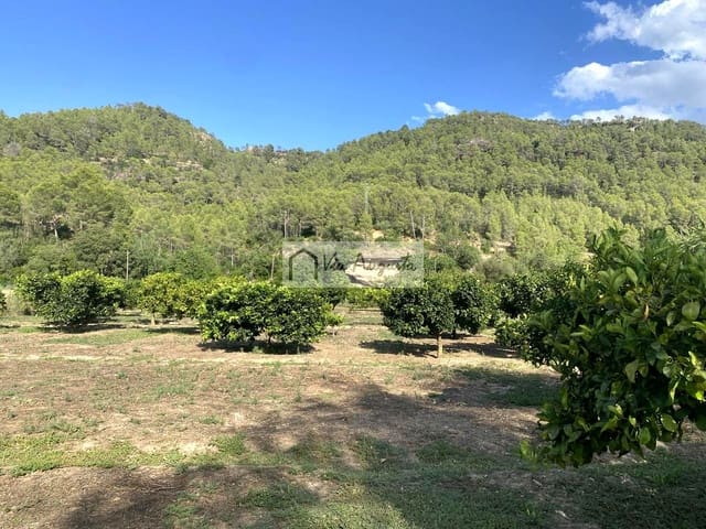 Undeveloped Land for sale in Miravet - € 56,000 (Ref: 9136433)