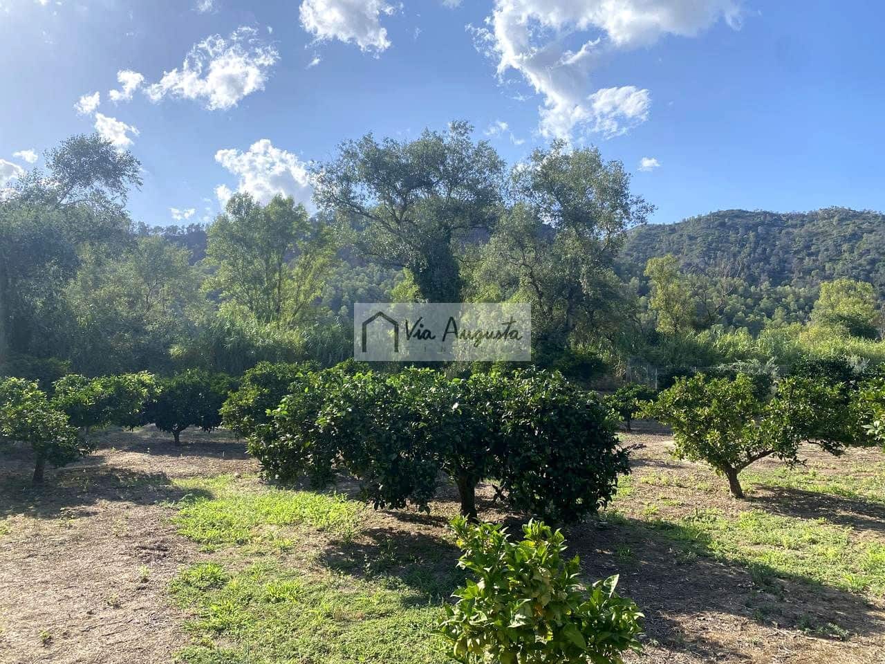 Grunde uden byggetilladelser til salg i Miravet - € 56.000 (Ref: 9136433)