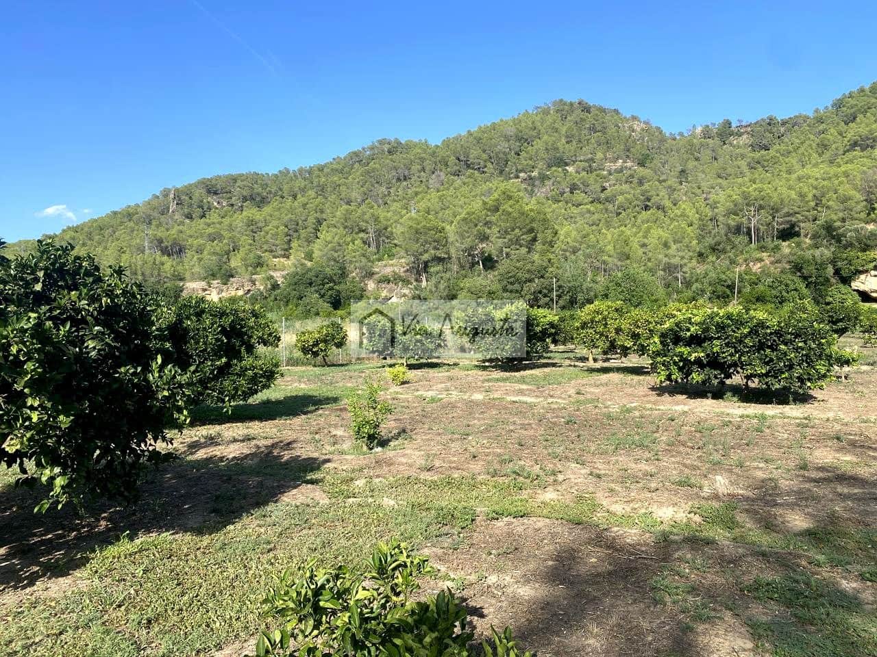 Grunde uden byggetilladelser til salg i Miravet - € 56.000 (Ref: 9136433)