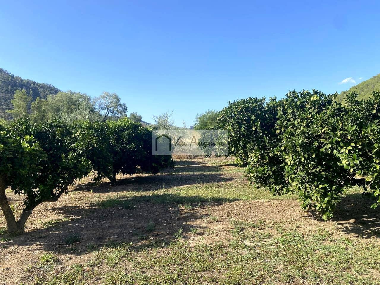 Grunde uden byggetilladelser til salg i Miravet - € 56.000 (Ref: 9136433)