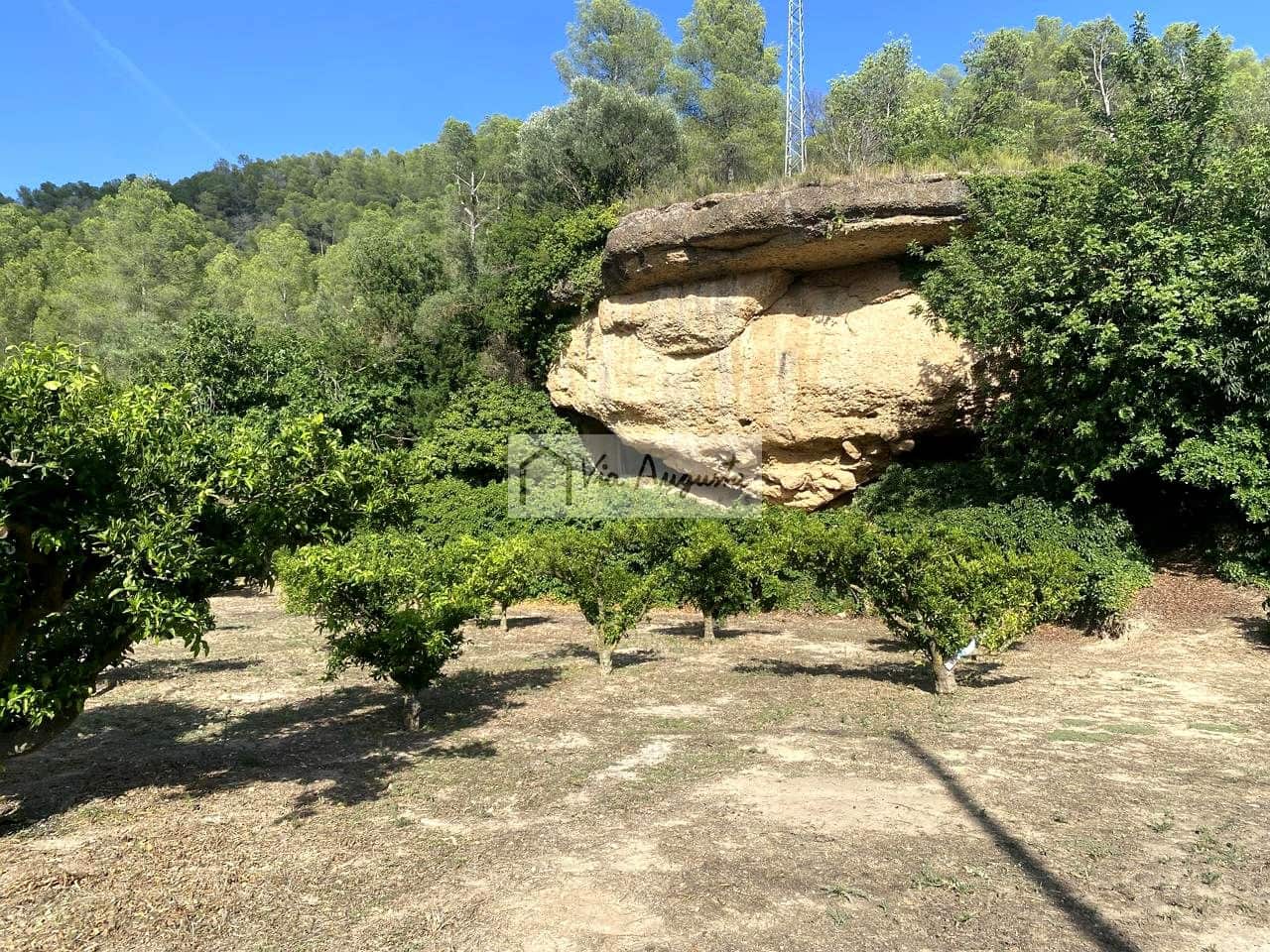 Grunde uden byggetilladelser til salg i Miravet - € 56.000 (Ref: 9136433)