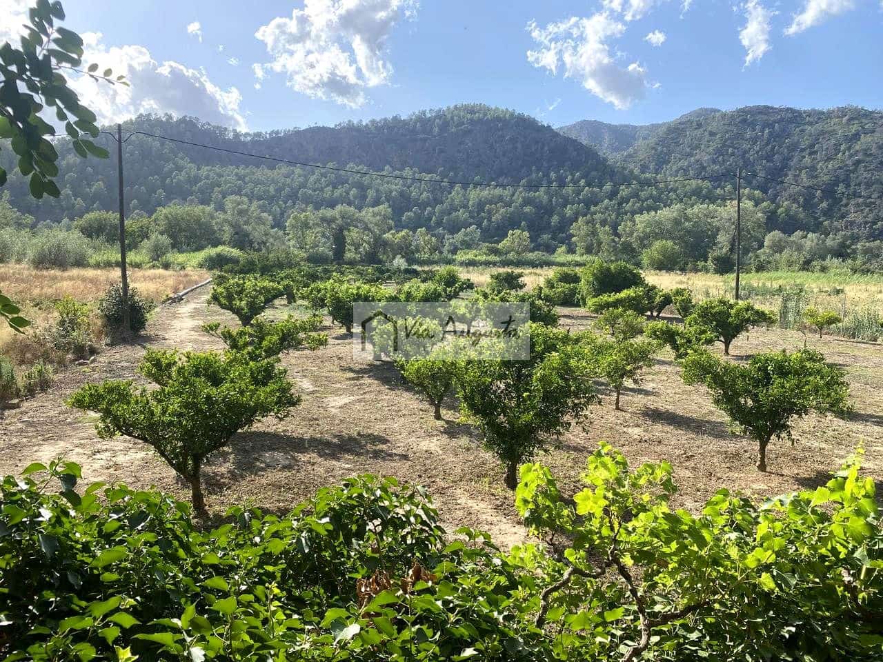 Grunde uden byggetilladelser til salg i Miravet - € 56.000 (Ref: 9136433)