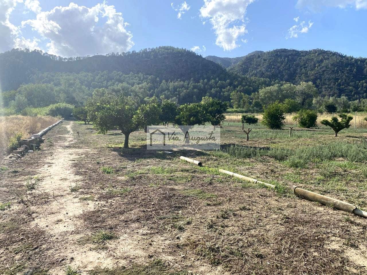 Grunde uden byggetilladelser til salg i Miravet - € 56.000 (Ref: 9136433)