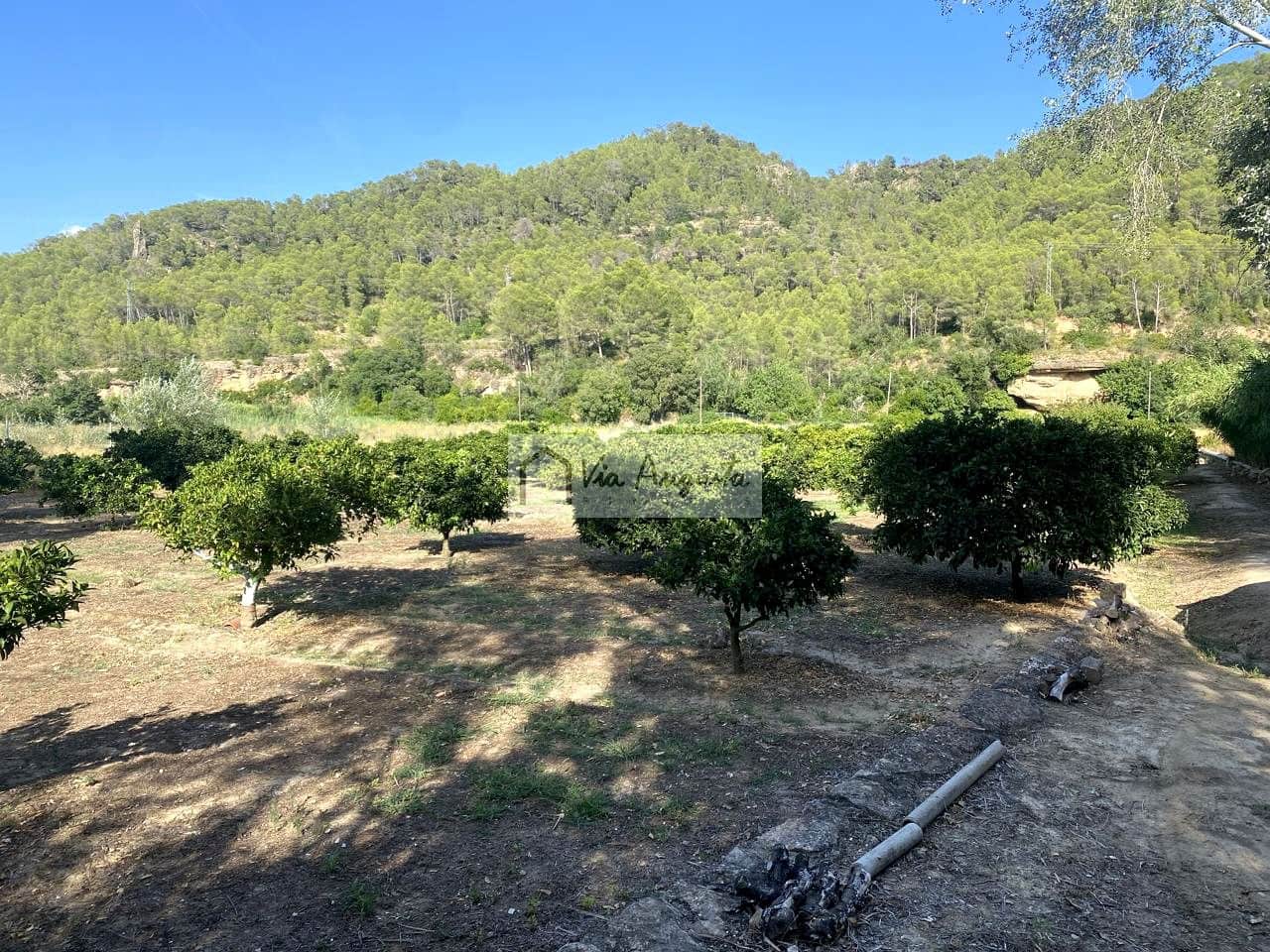 Grunde uden byggetilladelser til salg i Miravet - € 56.000 (Ref: 9136433)