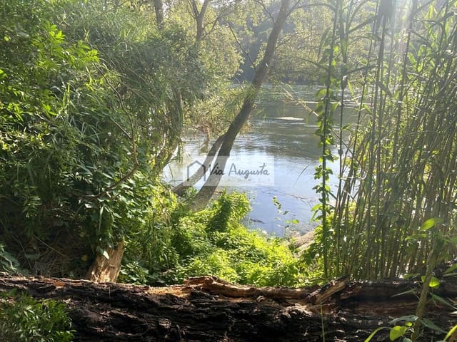 Undeveloped Land for sale in Miravet - € 56,000 (Ref: 9136433)