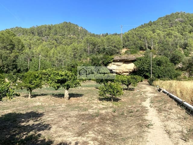 Undeveloped Land for sale in Miravet - € 56,000 (Ref: 9136433)