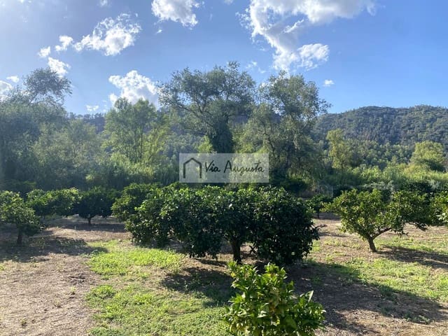 Undeveloped Land for sale in Miravet - € 56,000 (Ref: 9136433)