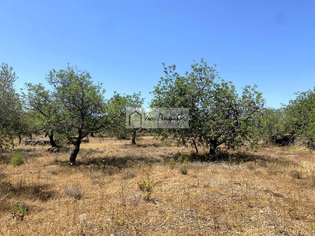 Grunde uden byggetilladelser til salg i El Perello - € 28.000 (Ref: 9141006)