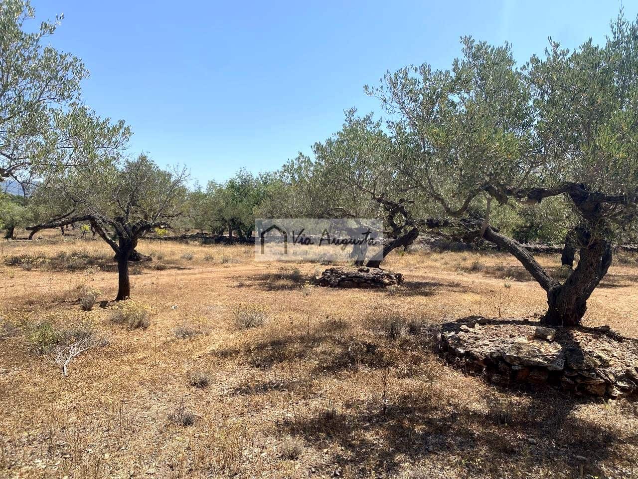 Grunde uden byggetilladelser til salg i El Perello - € 28.000 (Ref: 9141006)