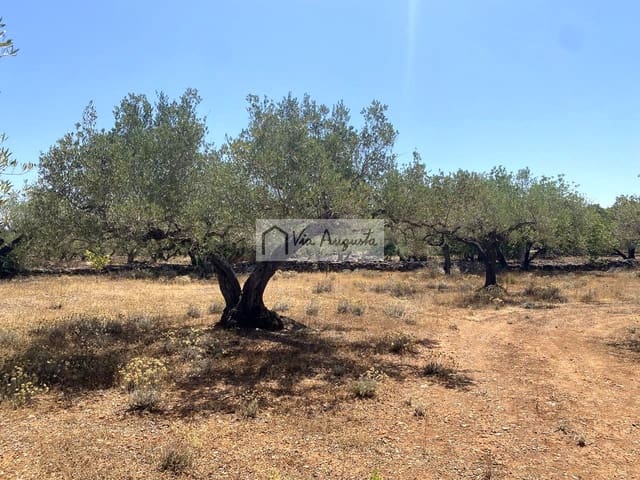 Grond te koop in El Perelló - € 28.000 (Ref: 9141006)