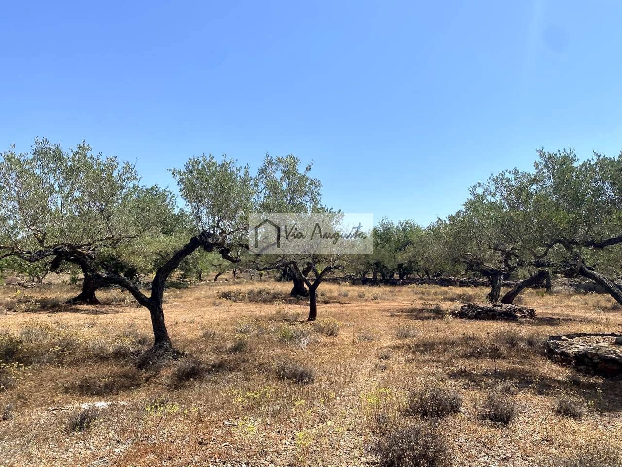 Grunde uden byggetilladelser til salg i El Perello - € 28.000 (Ref: 9141006)